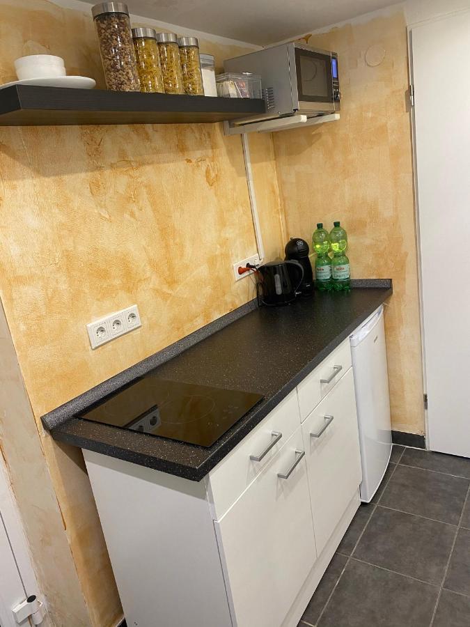 Wohnen Direkt An Der Rheinpromenade Mit Whirlpool Und Sauna *